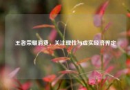 王者荣耀消费，关注理性与虚实经济界定