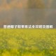 普通椰子鞋带系法全攻略及图解