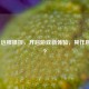 Steam 远程操控，开启游戏新体验，其作用几何？