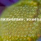 逆战属性加成数值解析，多少加成合适？