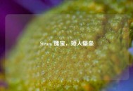 Steam 瑰宝，矮人堡垒