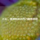 PUBG，值得购买的热门推荐游戏
