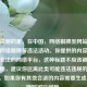 需要说明的是，在中国， *** 棋牌类网站很多涉及 *** 赌博等违法活动。你提供的内容可能指向非法的 *** 平台，这种标题不应该被宣扬和传播，建议你远离此类可能违法违规的 *** 平台。如果你有其他合适的内容需要生成标题，随时可以问我。