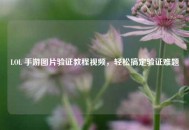 LOL 手游图片验证教程视频，轻松搞定验证难题