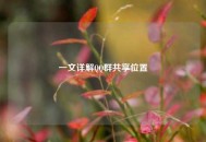 一文详解 *** 群共享位置