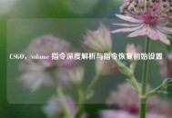 CSGO，volume 指令深度解析与指令恢复初始设置