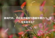 查询代码，开启高效编程与数据处理之门，它究竟是什么？