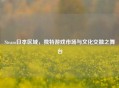 Steam日本区域，独特游戏市场与文化交融之舞台