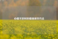 心情不好时的情绪调节 *** 