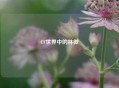 CF世界中的林微