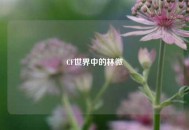 CF世界中的林微
