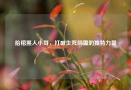 抬棺黑人小哥，打破生死阴霾的独特力量