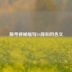 探寻神秘缩写SA背后的含义