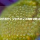 治愈心碎，安慰失恋女生的暖心套路