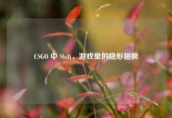CSGO 中 Shift，游戏里的隐形翅膀