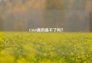 CSGO真的赢不了吗？