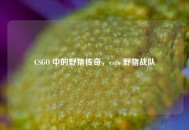 CSGO 中的野猪传奇，csgo 野猪战队