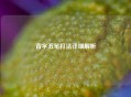 背字五笔打法详细解析