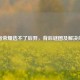 王者荣耀选不了后羿，背后谜团及解决办法