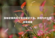 探秘老撕鸡和平精英解说大全，游戏与欢乐的激情碰撞