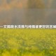 一文揭晓水洗棉与纯棉谁更好的答案