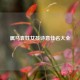 属马袁姓女孩诗意佳名大全