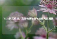 Steam饥荒模组，离线畅玩秘籍与加载问题困扰