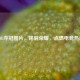 LOL夺冠图片，铭刻荣耀，点燃电竞热血