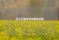 正义不屈抗争残暴逆战者