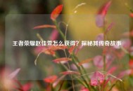 王者荣耀赵佳萱怎么获得？探秘其传奇故事