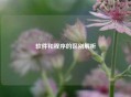 软件和程序的区别解析