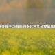 探寻数字726背后的多元含义及爱情寓意