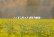 CSGO不会用AK？这里有秘籍！