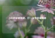 72小时谜底揭晓，打一汉字答案揭秘