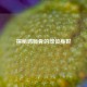 探秘鸡脆骨的部位身世