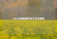PUBG关闭直播声音方法全解析
