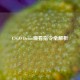CSGO Demo观看指令全解析
