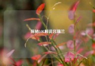探秘LOL解说吕瑞兰
