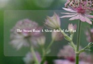 The Steam Ruin: A Silent Echo of the Past