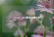 Nomit，CSGO赛场闪耀之星