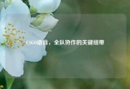 CSGO语音，全队协作的关键纽带