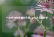 PUBG查询信誉值全攻略，pubg怎么看信誉