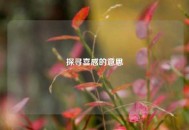 探寻喜感的意思