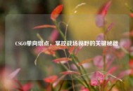 CSGO单向烟点，掌控战场视野的关键秘籍