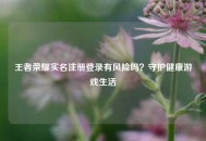 王者荣耀实名注册登录有风险吗？守护健康游戏生活