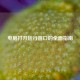 电脑打开运行窗口的全面指南