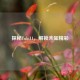 探秘Tubi11，解锁未知精彩
