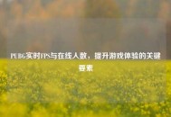 PUBG实时FPS与在线人数，提升游戏体验的关键要素
