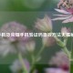 手机及荣耀手机验证码查找 *** 大揭秘！
