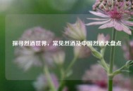 探寻烈酒世界，常见烈酒及中国烈酒大盘点